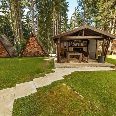 Biliana Apartment Pamporovo